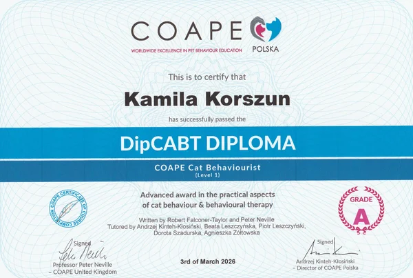 Dyplom COAPE DipCABT Kamila Korszun
